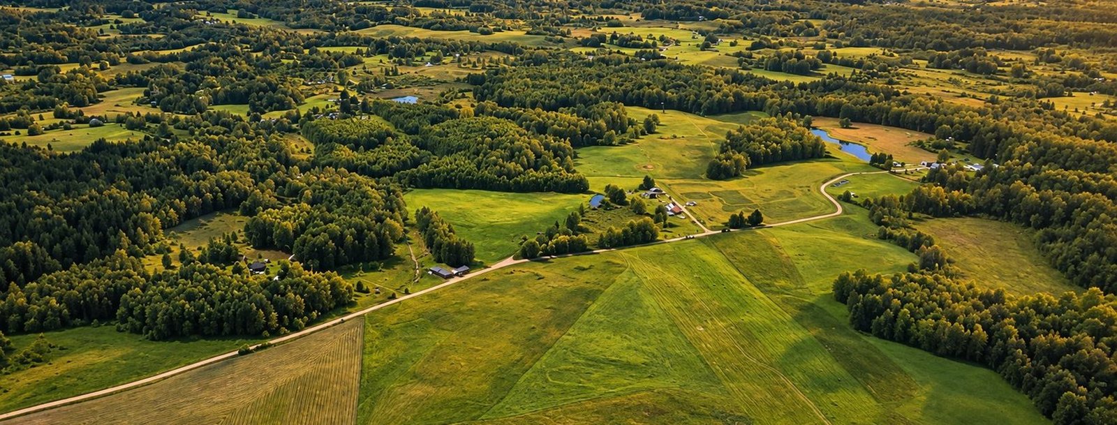 Viršelis be logotipo – panorama